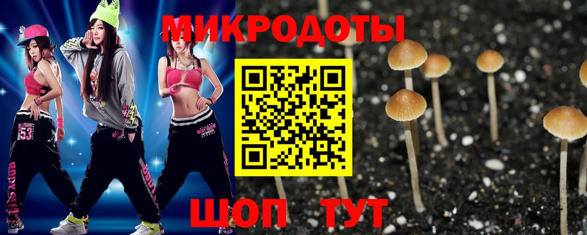 Сафоново  Псилоцибиновые грибы Psilocybine cubensis  Вход с VPN 